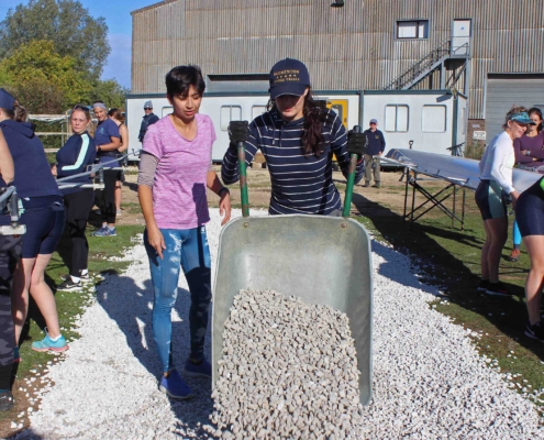 Pouring hardcore onto likely areas of mud