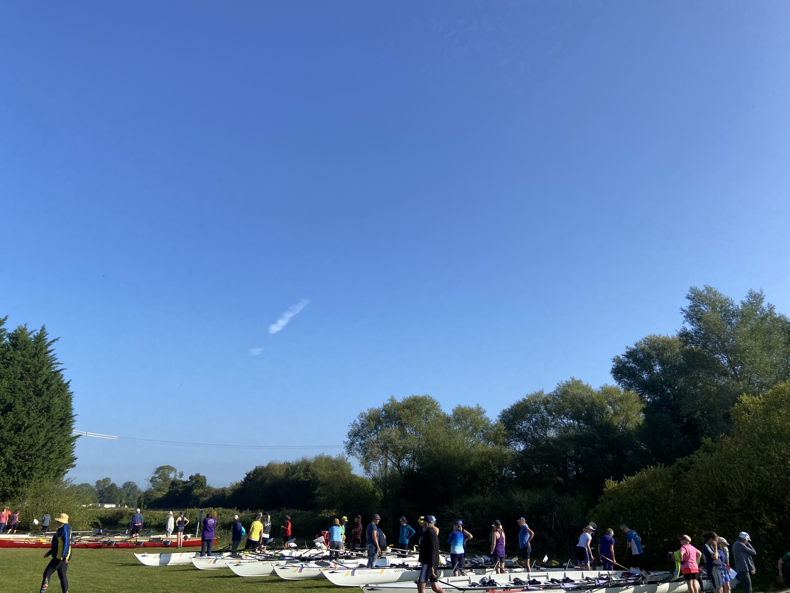 large collection of rowing boats lined up in a sunny field with rowers standing around checking them